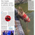 capture_du_2023-01-19_12-39-12.png